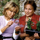 Illustration for article titled A round-up of cozy mystery tv shows